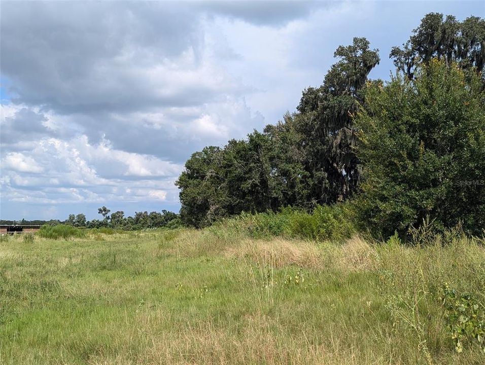 For Sale: $365,000 (22.06 acres)