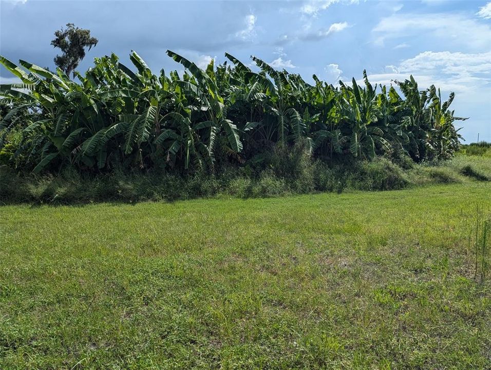 For Sale: $365,000 (22.06 acres)