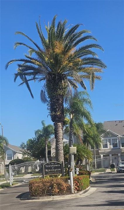 En Renta: $1,975 (2 camas, 2 baños, 1496 Pies cuadrados)