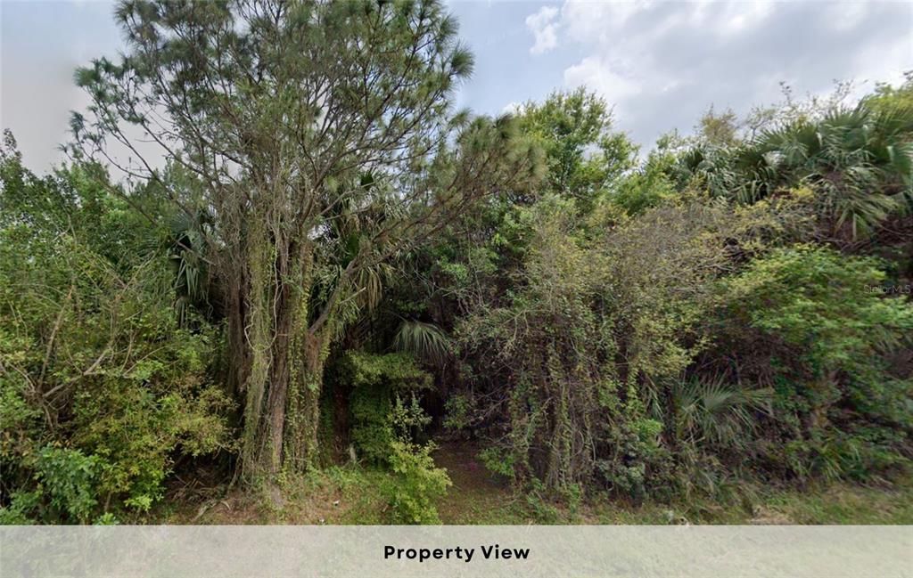 На продажу: $34,950 (0.36 acres)