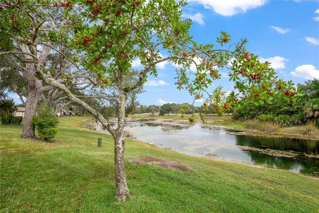 待售: $189,900 (2 贝兹, 2 浴室, 1499 平方英尺)