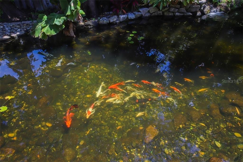 For Rent: $10,500 (5 beds, 3 baths, 4339 Square Feet)