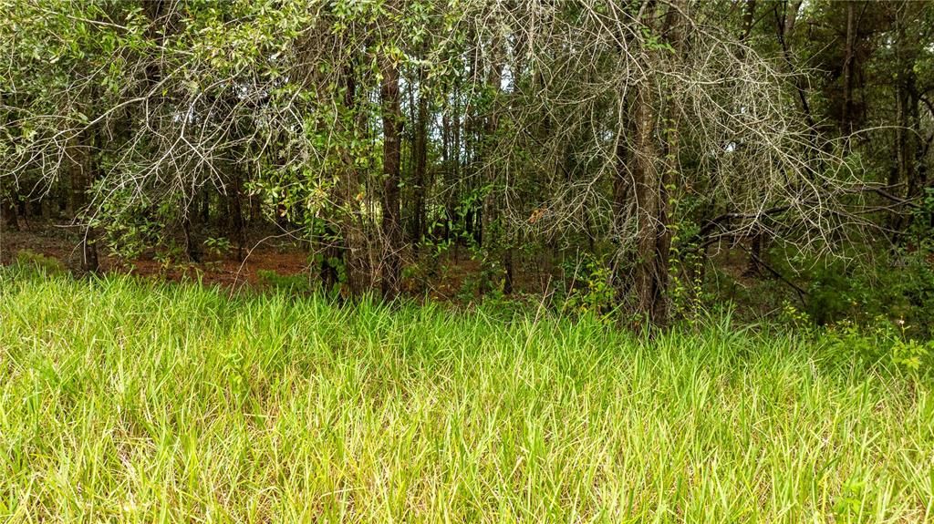 待售: $39,999 (0.55 acres)