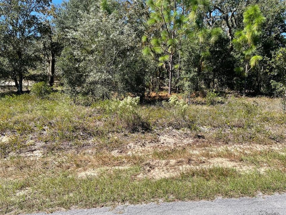 待售: $25,975 (0.99 acres)