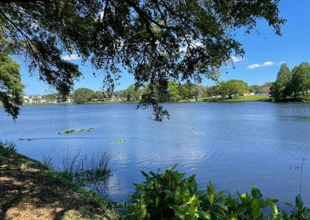 Active With Contract: $2,240 (2 beds, 1 baths, 580 Square Feet)