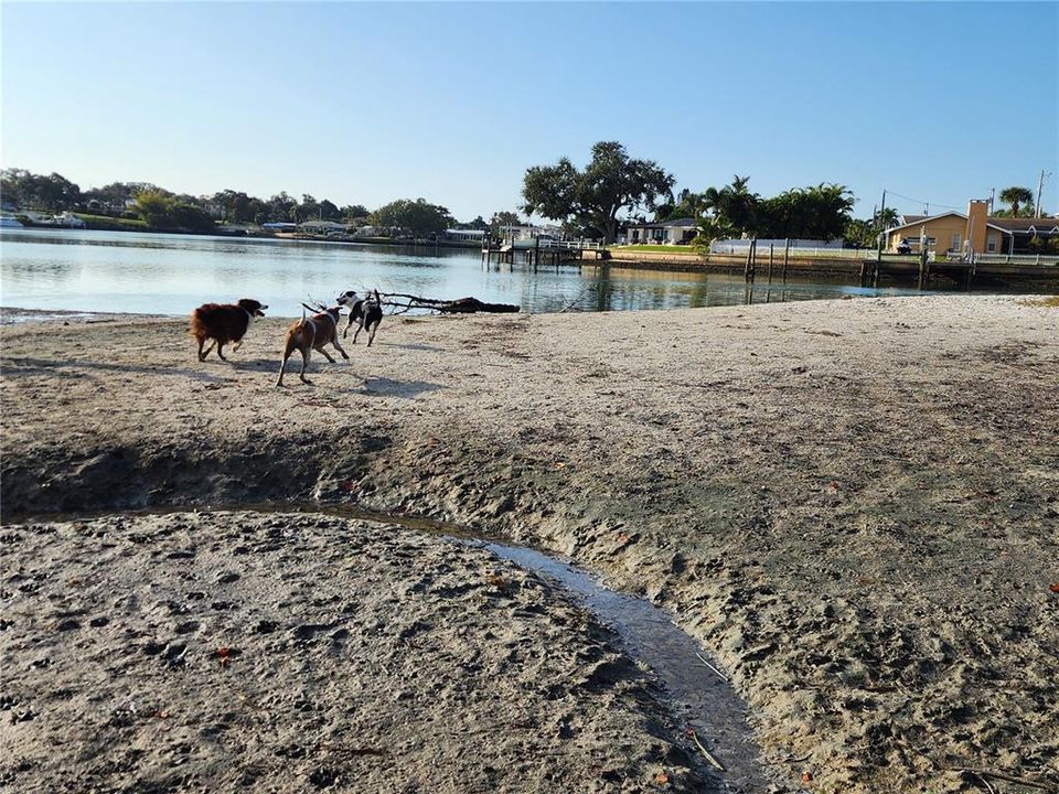 合同活跃: $749,000 (3 贝兹, 2 浴室, 1826 平方英尺)