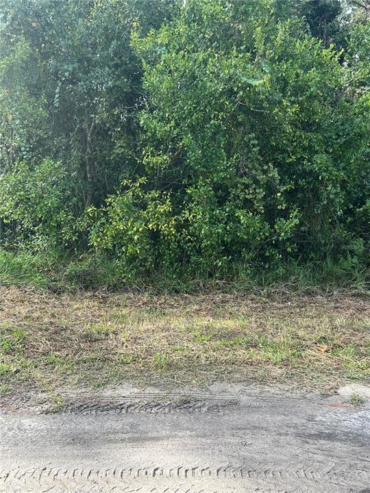 For Sale: $39,900 (0.25 acres)