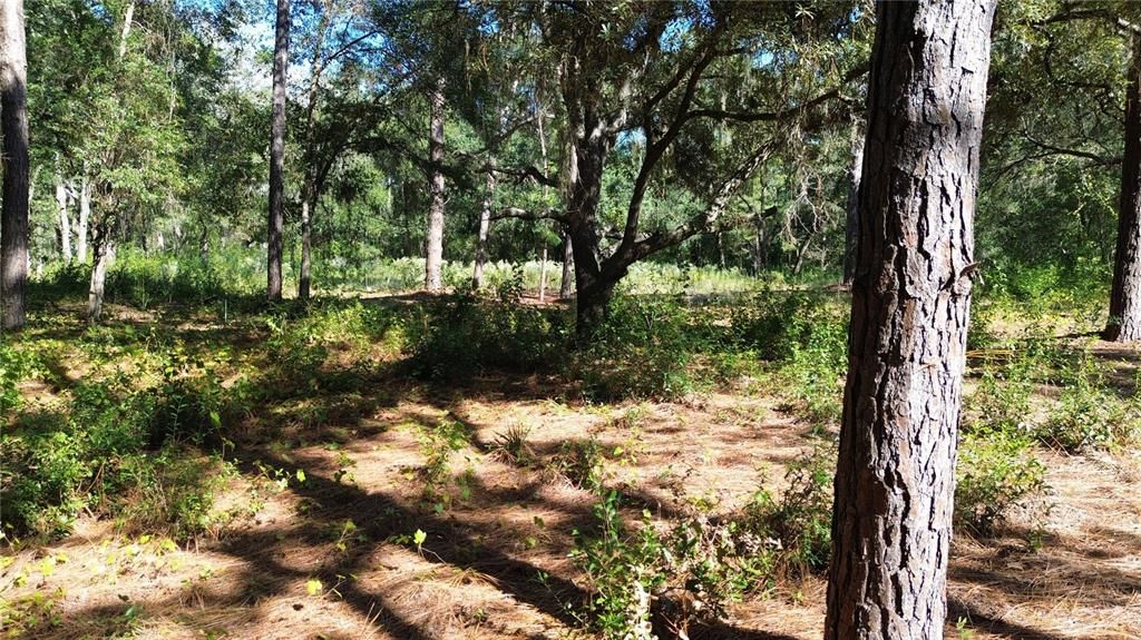 For Sale: $25,700 (0.57 acres)