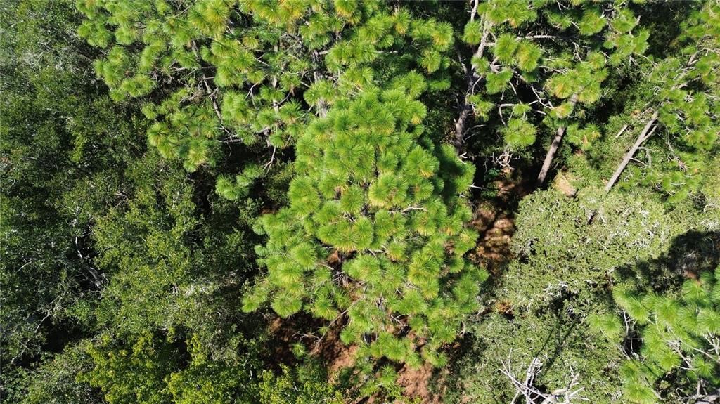 For Sale: $25,700 (0.57 acres)