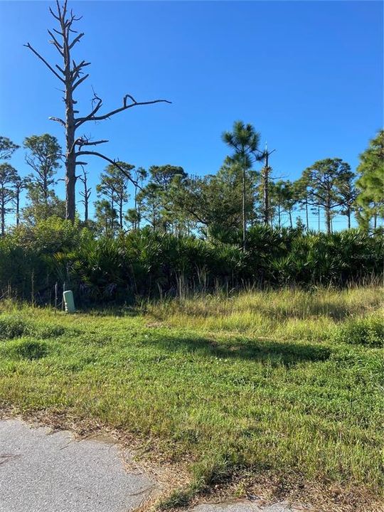 Active With Contract: $20,000 (0.32 acres)