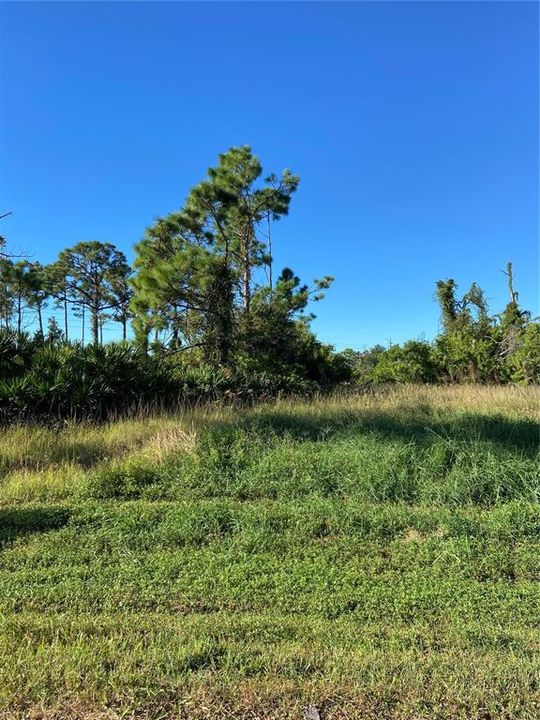 Active With Contract: $20,000 (0.32 acres)