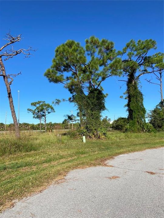 Active With Contract: $20,000 (0.32 acres)