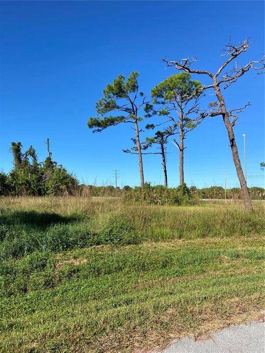 Active With Contract: $20,000 (0.32 acres)