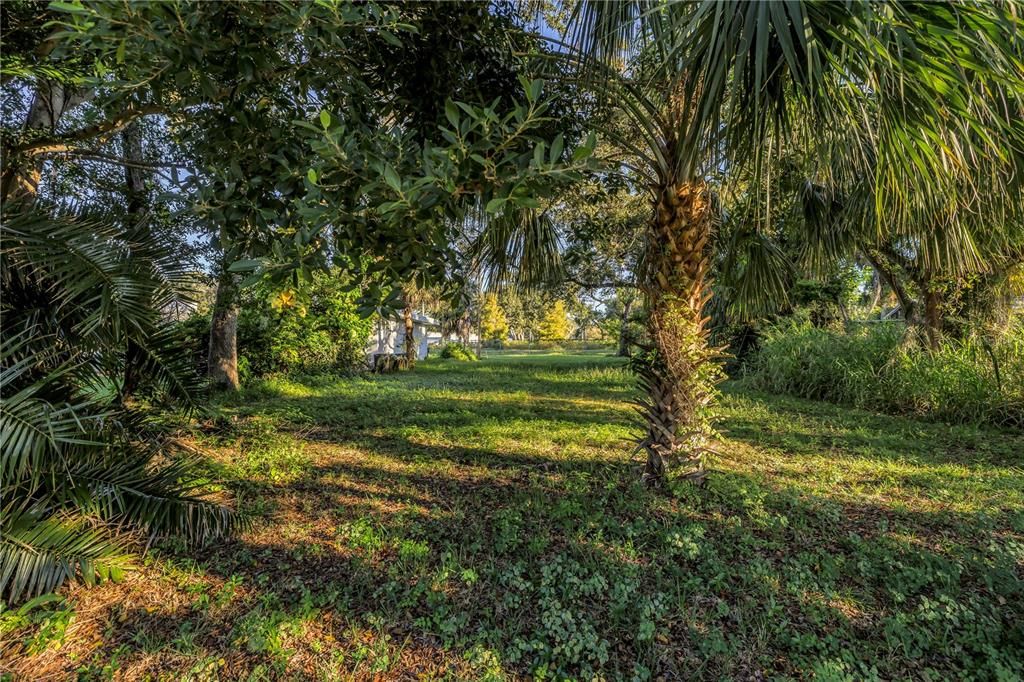 合同活跃: $100,000 (0.12 acres)