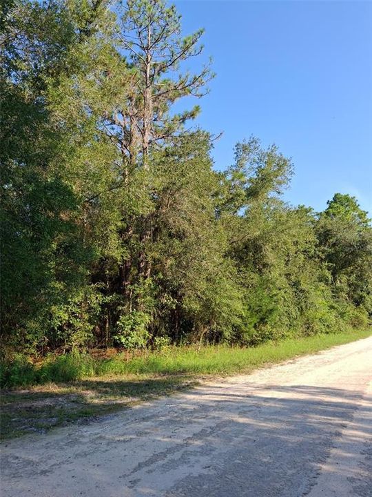 Active With Contract: $34,000 (0.50 acres)