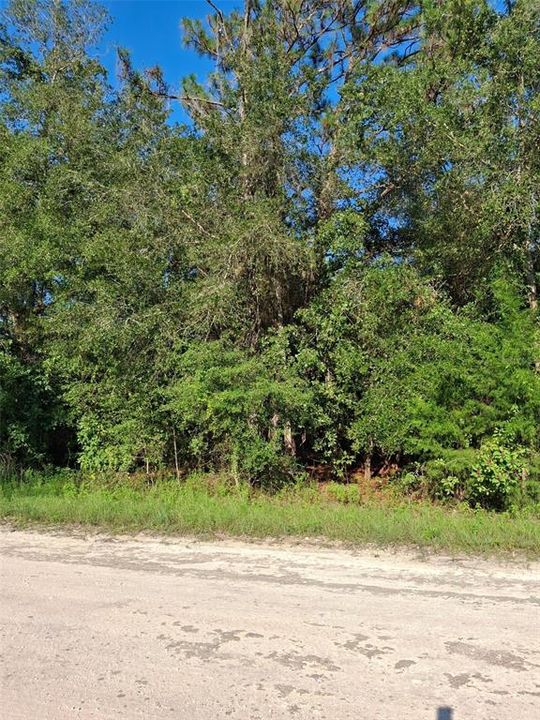 Active With Contract: $34,000 (0.50 acres)