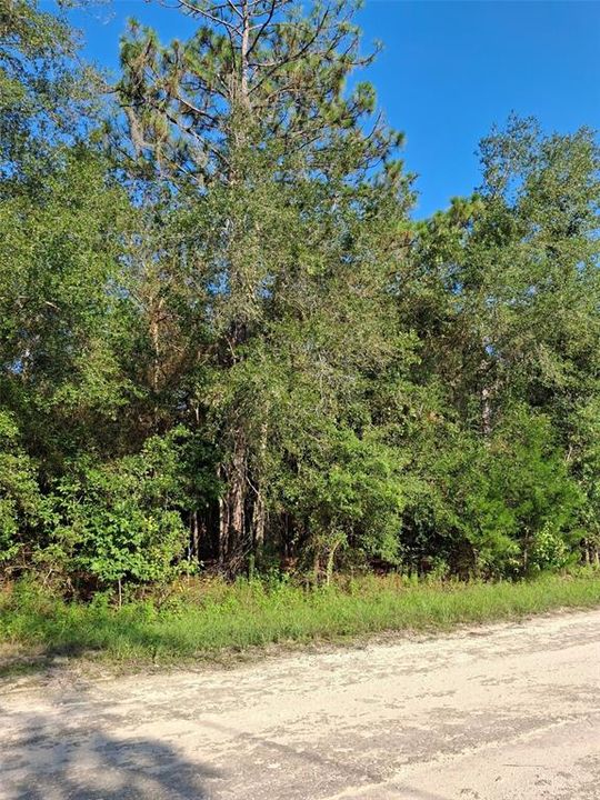 Active With Contract: $34,000 (0.50 acres)