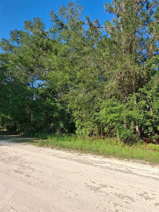 Active With Contract: $34,000 (0.50 acres)