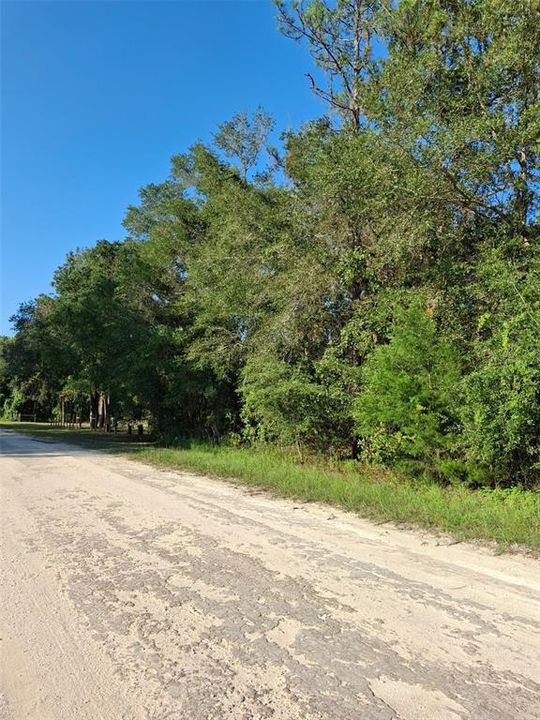 Active With Contract: $34,000 (0.50 acres)