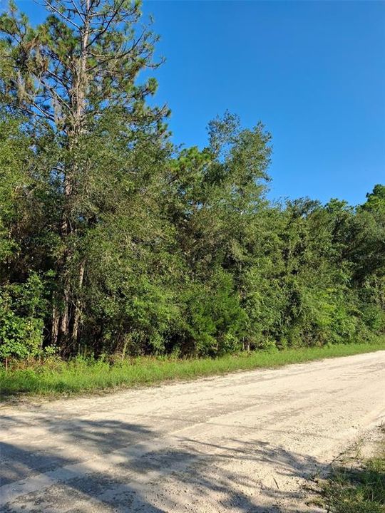 Active With Contract: $34,000 (0.50 acres)