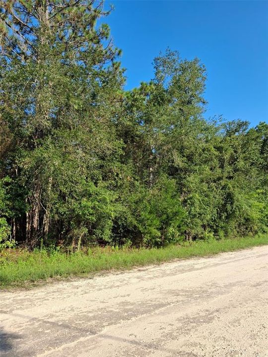 Active With Contract: $34,000 (0.50 acres)