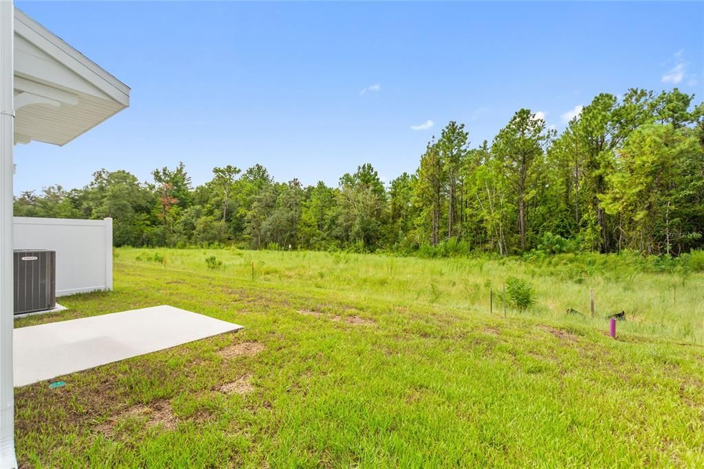 出租: $2,350 (3 贝兹, 2 浴室, 1797 平方英尺)