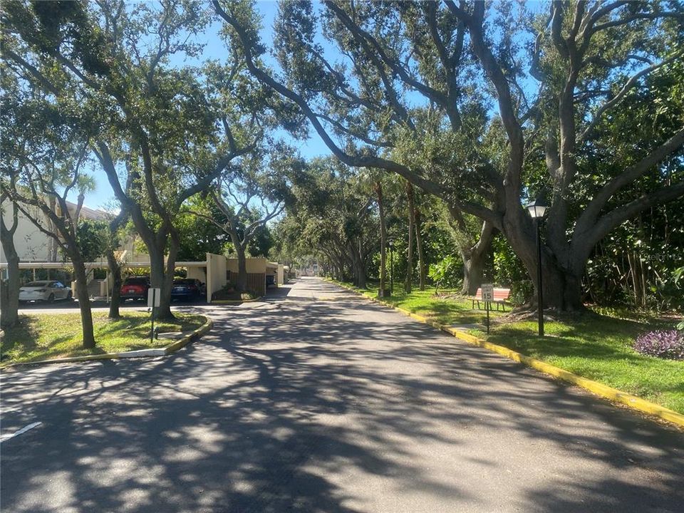 For Sale: $560,000 (3 beds, 2 baths, 1480 Square Feet)