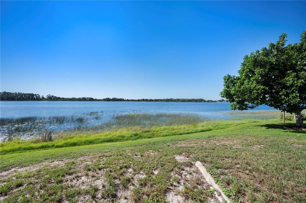 待售: $175,000 (2 贝兹, 2 浴室, 1116 平方英尺)