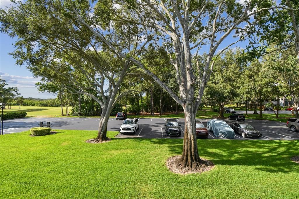 For Sale: $244,000 (1 beds, 1 baths, 825 Square Feet)