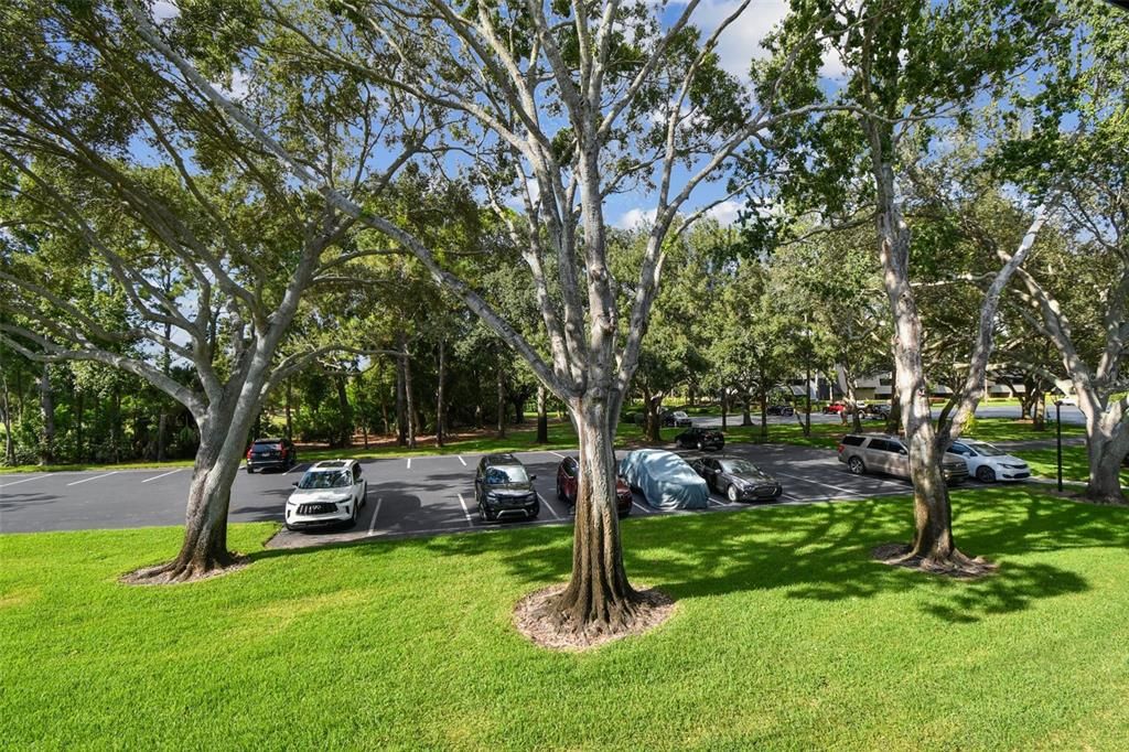 For Sale: $244,000 (1 beds, 1 baths, 825 Square Feet)