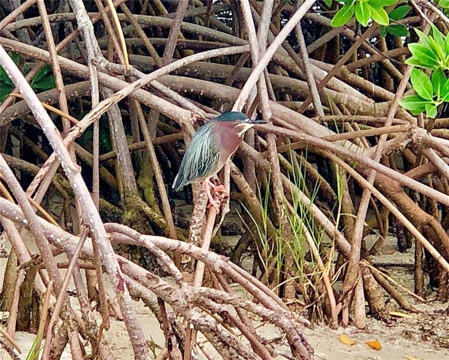 Active With Contract: $510,000 (2 beds, 2 baths, 1145 Square Feet)