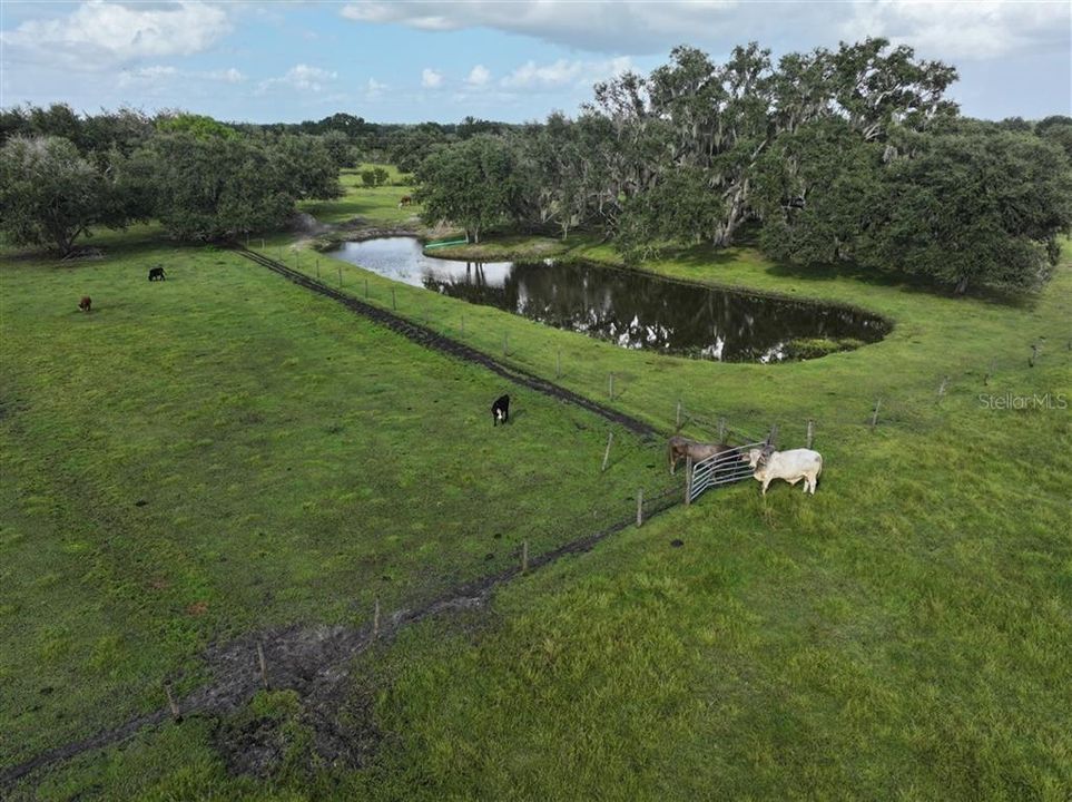 En Venta: $325,000 (5.25 acres)