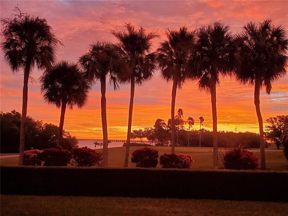 Active With Contract: $137,900 (1 beds, 1 baths, 810 Square Feet)