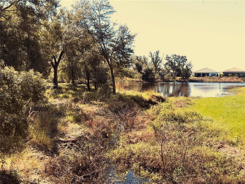 合同活跃: $3,000 (3 贝兹, 2 浴室, 1671 平方英尺)