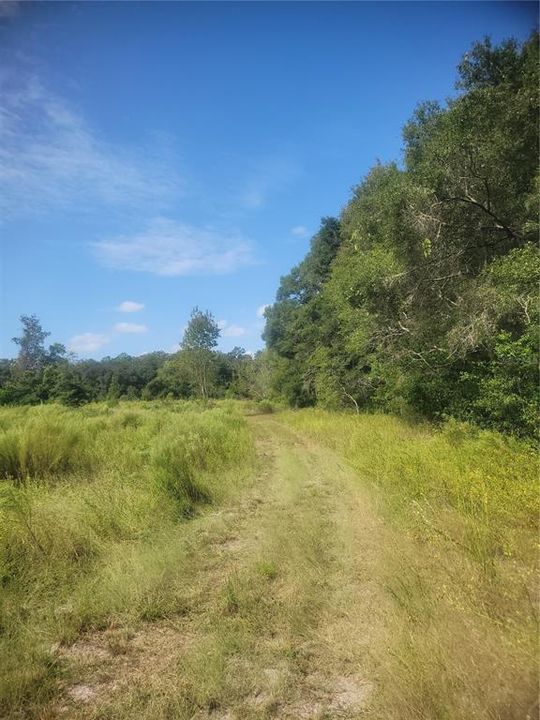 En Venta: $1,300,000 (20.00 acres)
