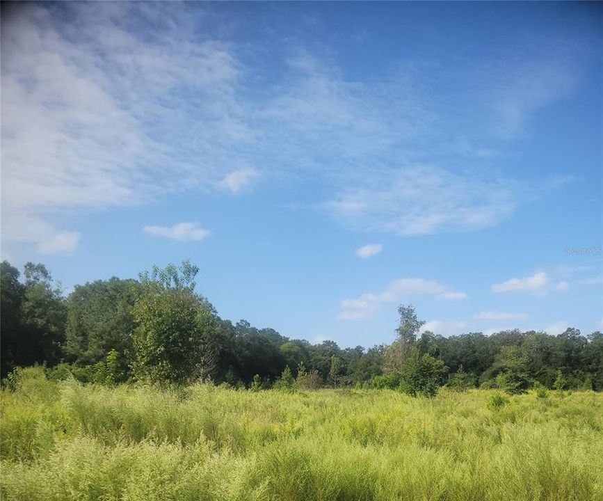 En Venta: $1,300,000 (20.00 acres)