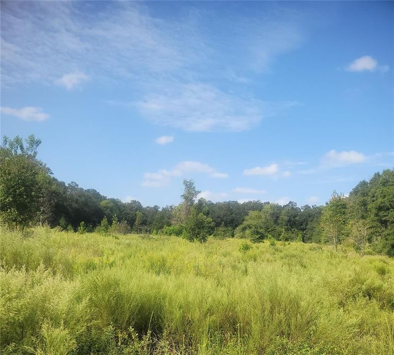 En Venta: $1,300,000 (20.00 acres)