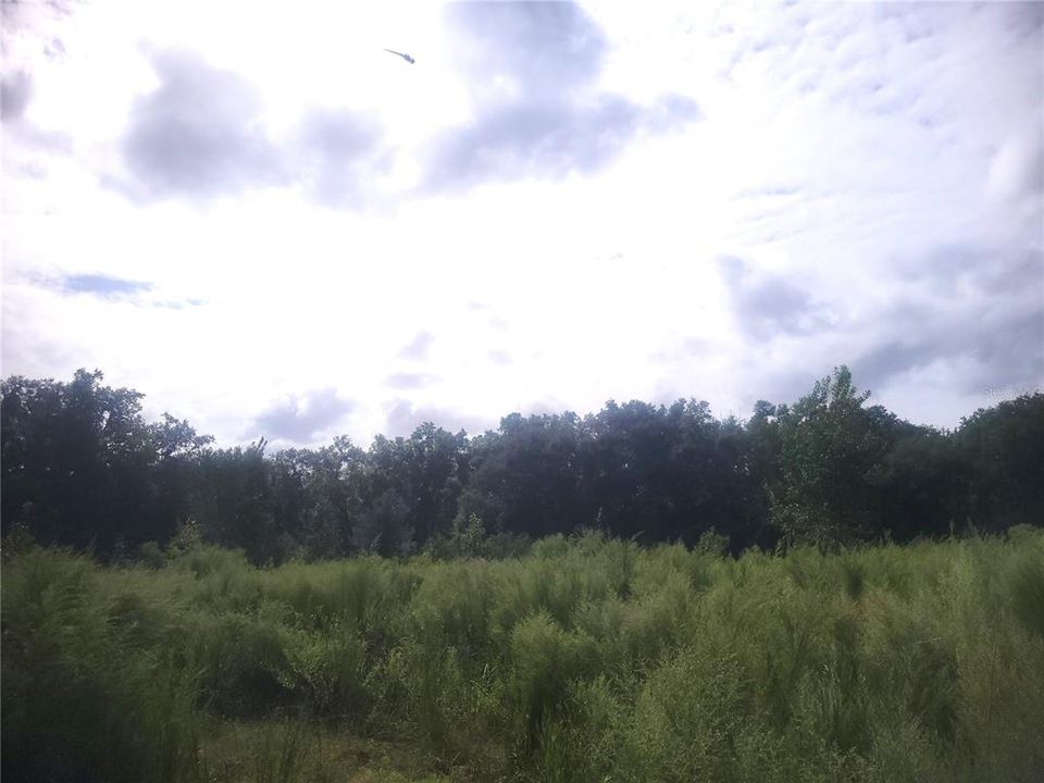 En Venta: $1,300,000 (20.00 acres)