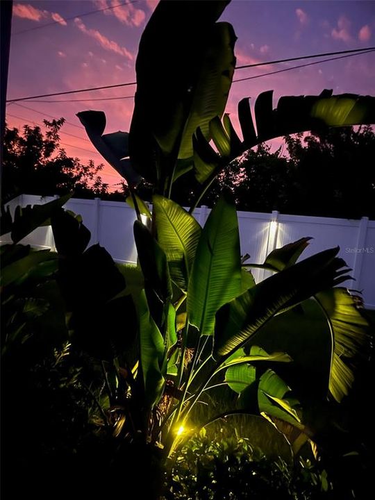 Active With Contract: $489,900 (3 beds, 2 baths, 1676 Square Feet)