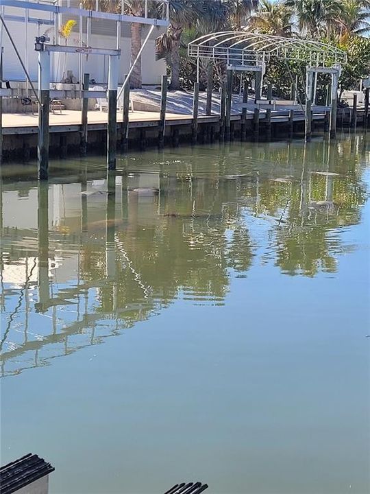 待售: $2,250,000 (3 贝兹, 2 浴室, 2232 平方英尺)