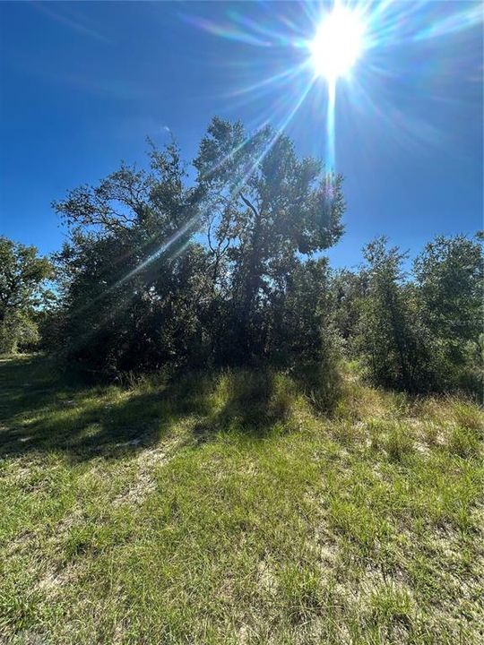 待售: $35,000 (0.27 acres)