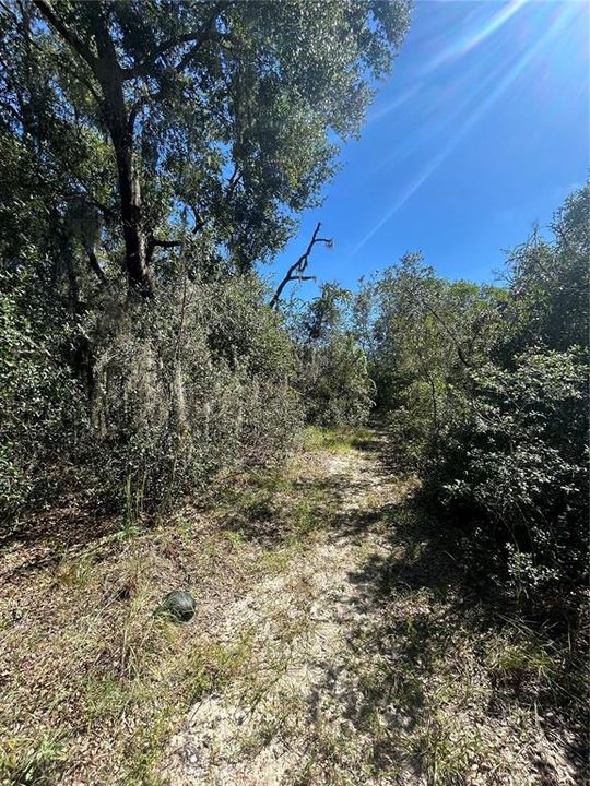 待售: $35,000 (0.27 acres)