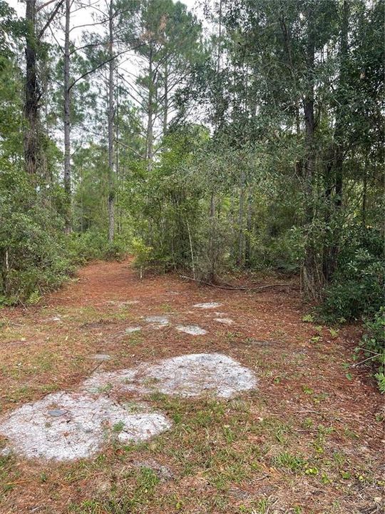 合同活跃: $289,900 (3 贝兹, 2 浴室, 1620 平方英尺)