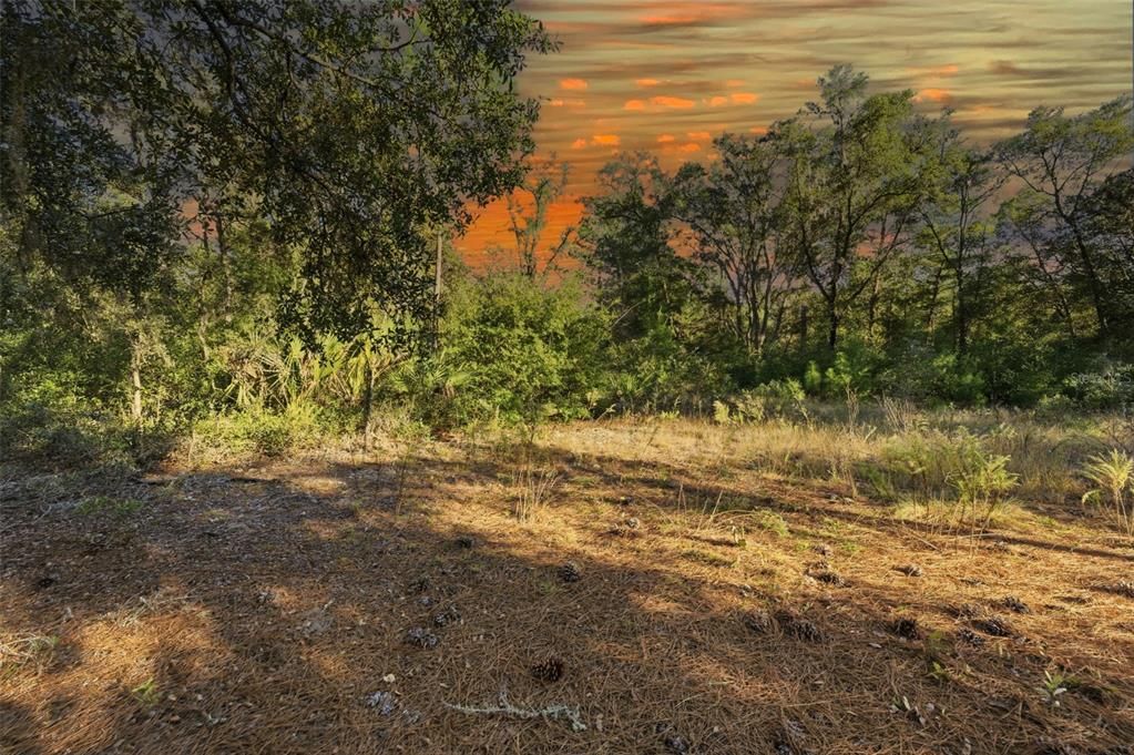 На продажу: $25,300 (0.48 acres)