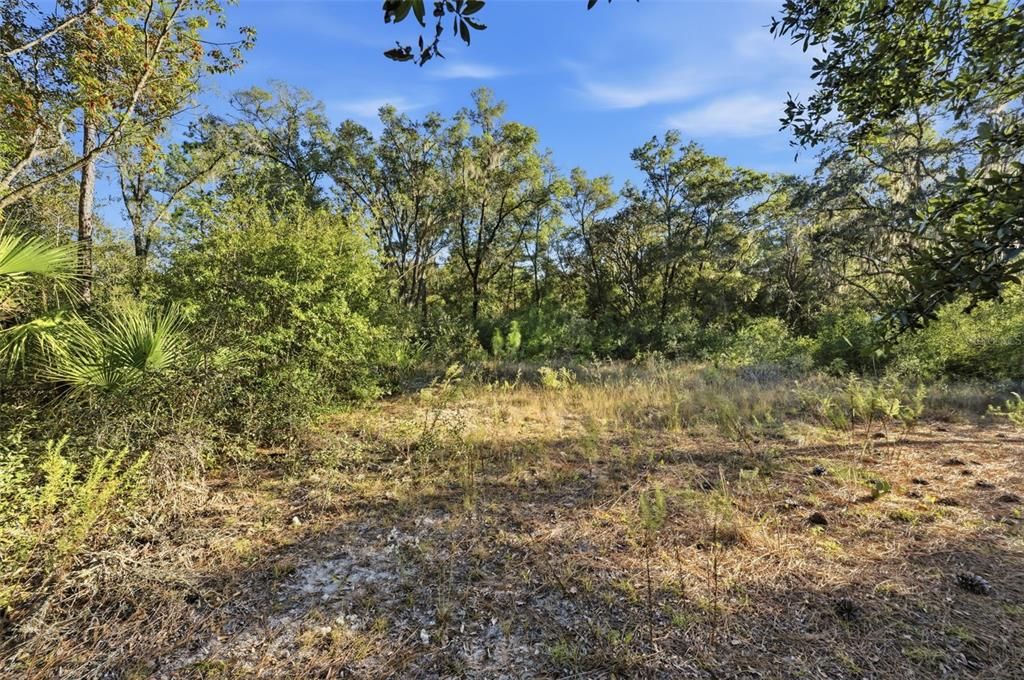 На продажу: $25,300 (0.48 acres)