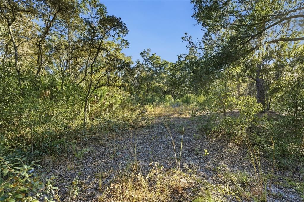 На продажу: $25,300 (0.48 acres)