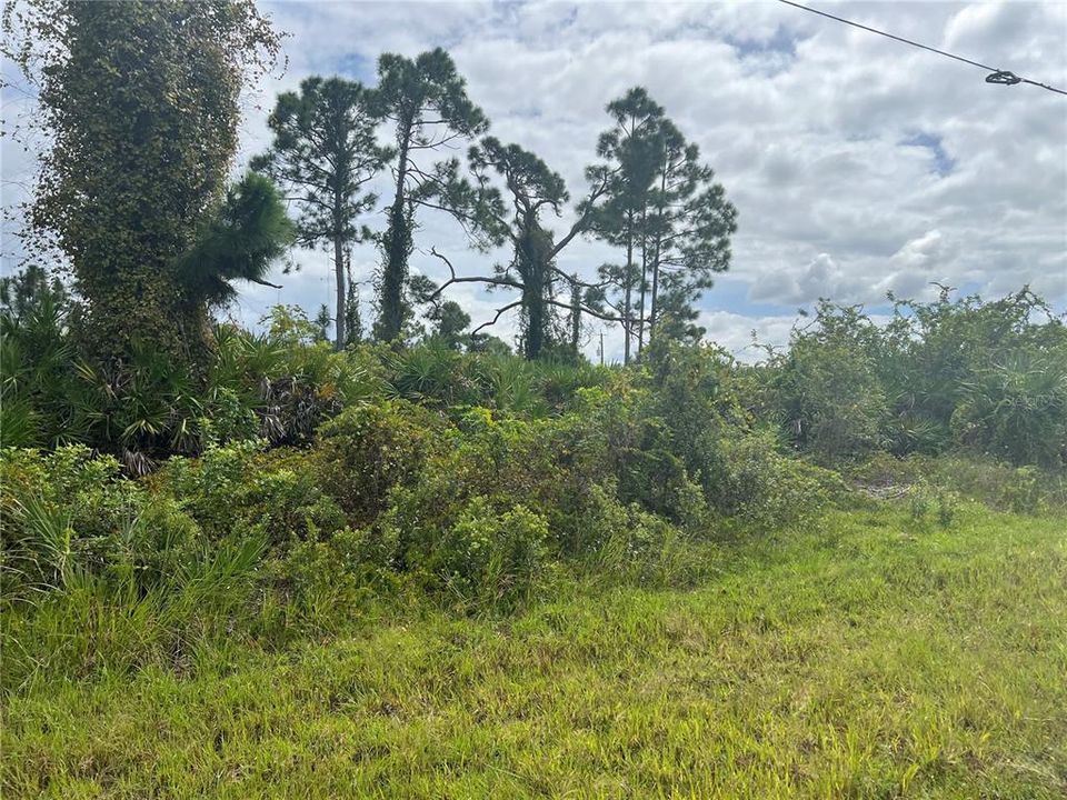 For Sale: $39,888 (0.23 acres)