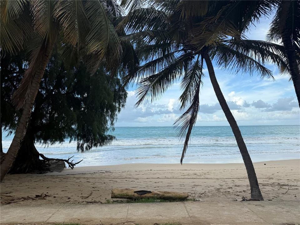 For Sale: $359,000 (1 beds, 1 baths, 700 Square Feet)