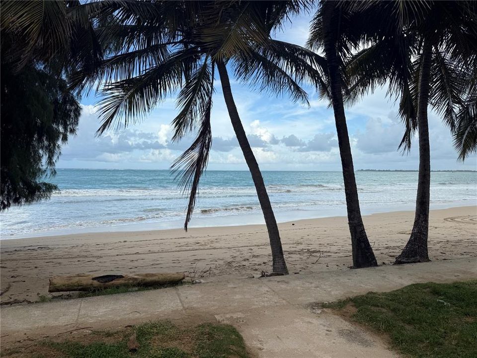 For Sale: $359,000 (1 beds, 1 baths, 700 Square Feet)