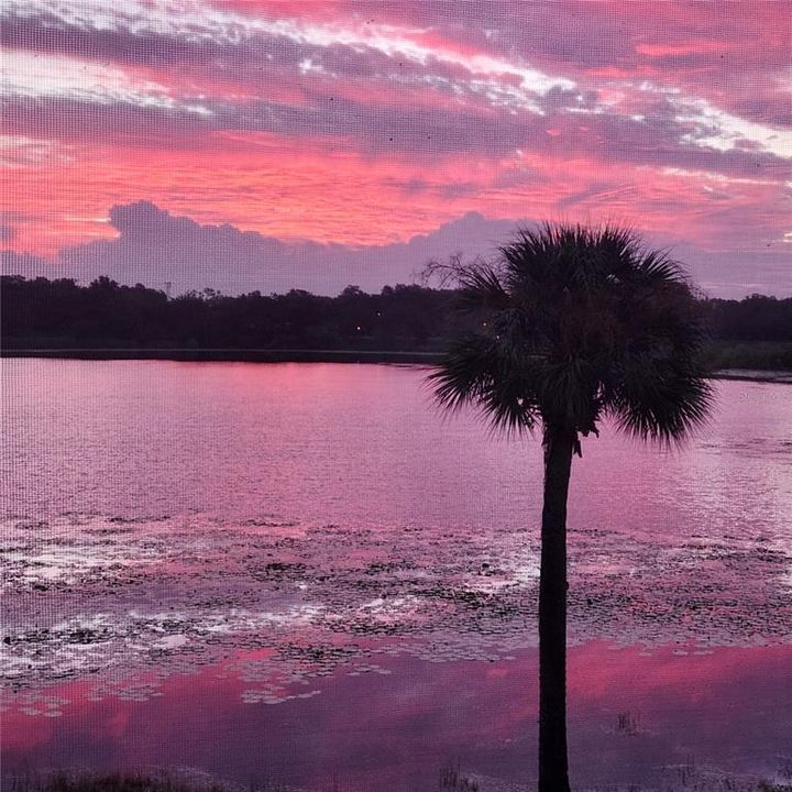 En Venta: $359,900 (2 camas, 2 baños, 1403 Pies cuadrados)